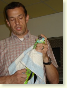 Dr. Straub demonstriert das fachmännische Halten eines Papageien